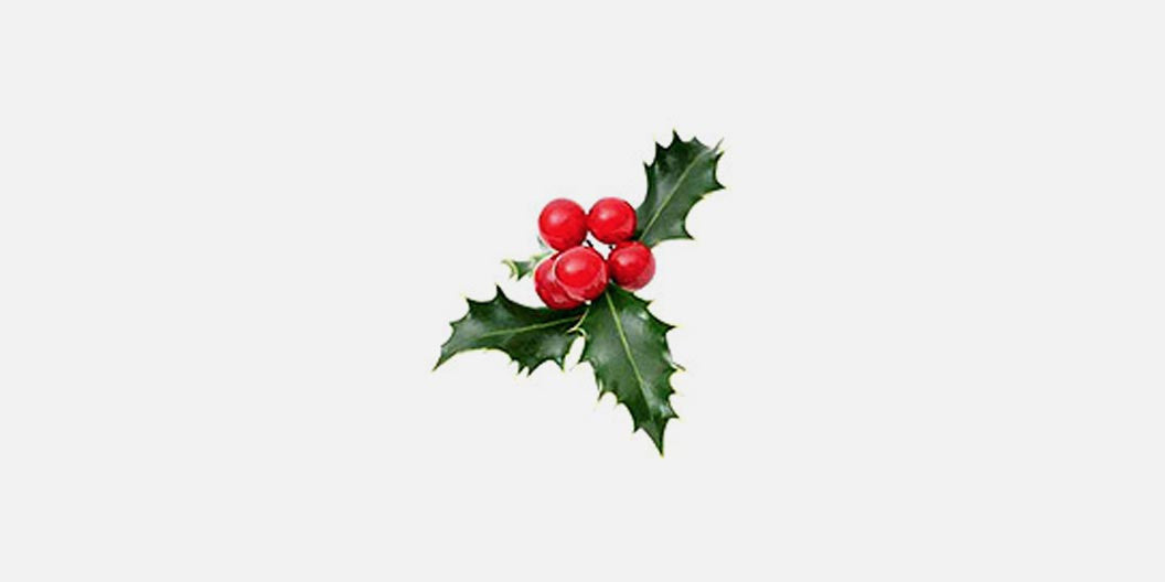 Get your print in time for Christmas