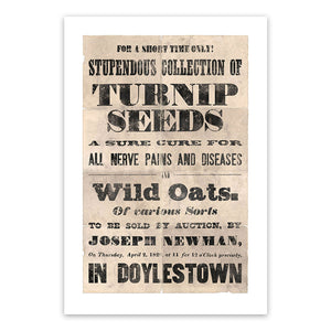 Vintage Mashups Print: Stupendous Collection of Turnip Seeds – on white