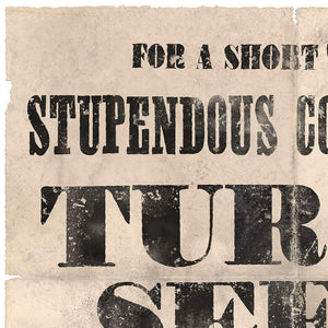 Vintage Mashups Print: Stupendous Collection of Turnip Seeds – detail 3